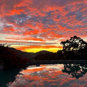 Meet your Posher, Joanie